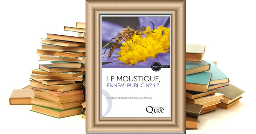 Le Moustique, ennemi public n°1 ? - Sylvie Lecollinet - Didier Fontenille - Nonito Pagès - Anna-Bella Failloux