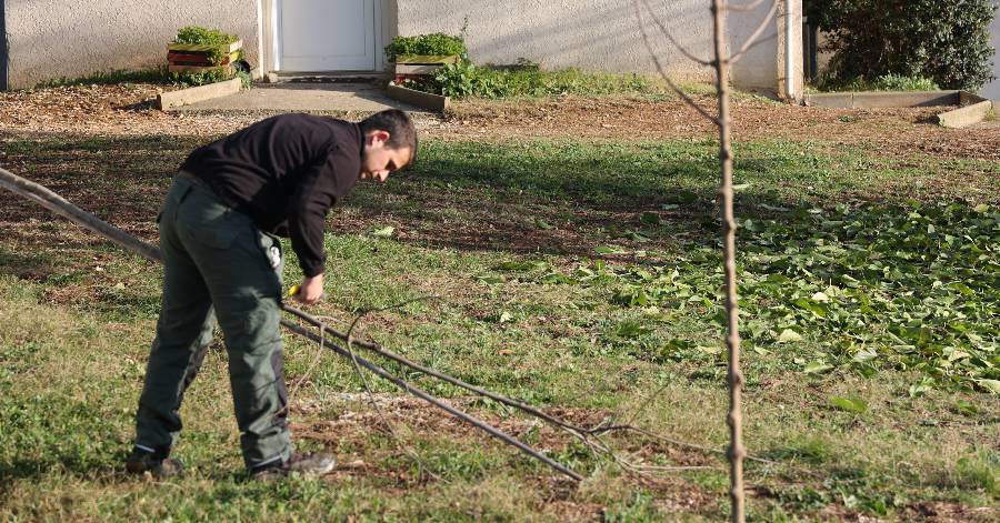 Castelnau-le-Lez - Opération 8 000 arbres pour l'Hérault : 20 végétaux de plus pour l'environnement à Castelnau-le-Lez