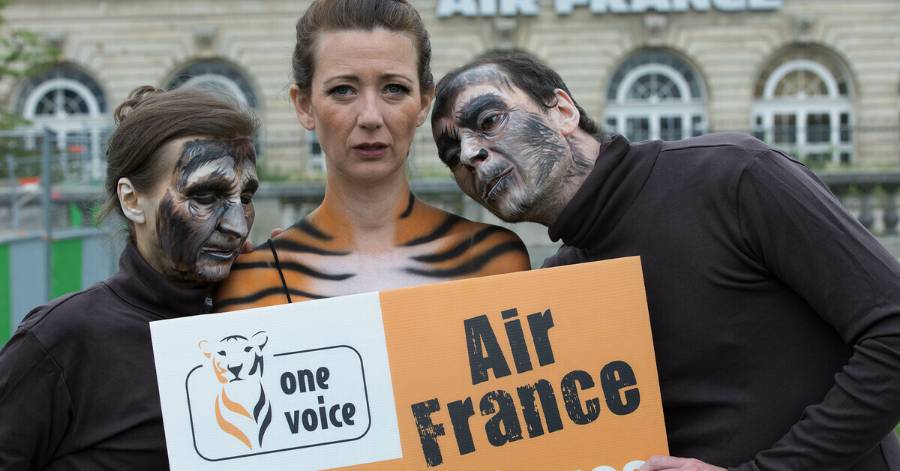 - Air France donne sa date d'arrêt du transport de primates pour les labos à Aymeric Caron & One Voice