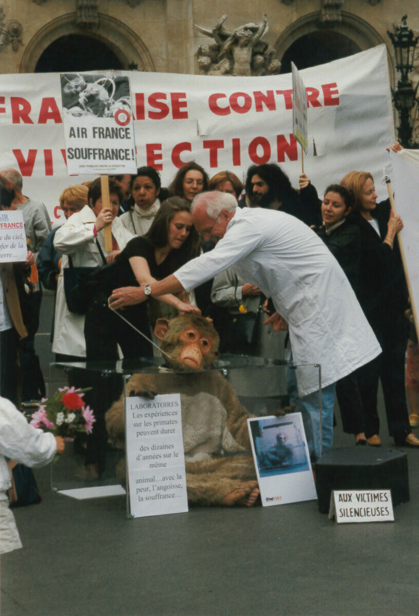 France - Air France donne sa date d'arrêt du transport de primates pour les labos à Aymeric Caron & One Voice
