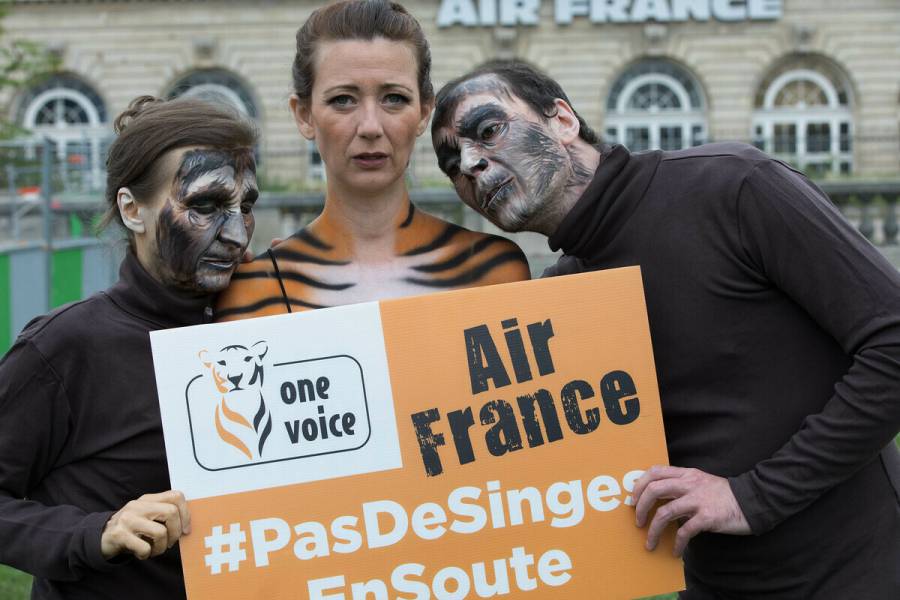 France - Air France donne sa date d'arrêt du transport de primates pour les labos à Aymeric Caron & One Voice