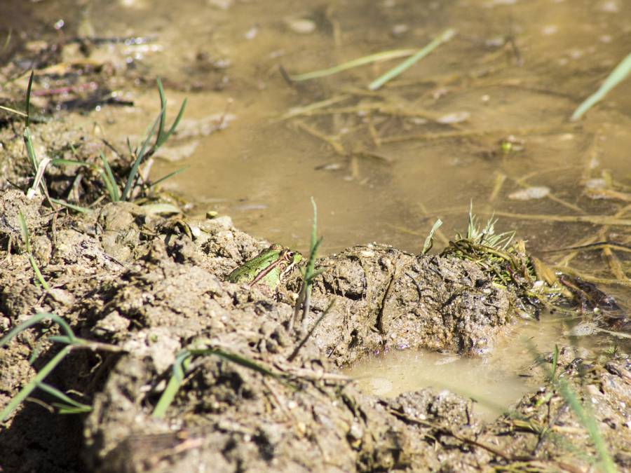 Hérault - Reconnaissance de l'état de catastrophe naturelle du 19 décembre 2022 !