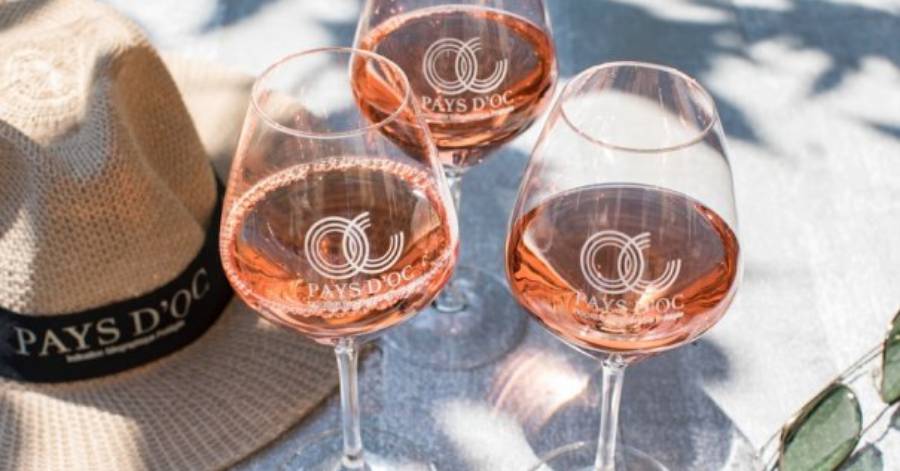 L'IGP Pays d'Oc, 1er producteur de rosé en France accueille  la Session Vins Rosés 2023 du Concours Mondial de Bruxelles