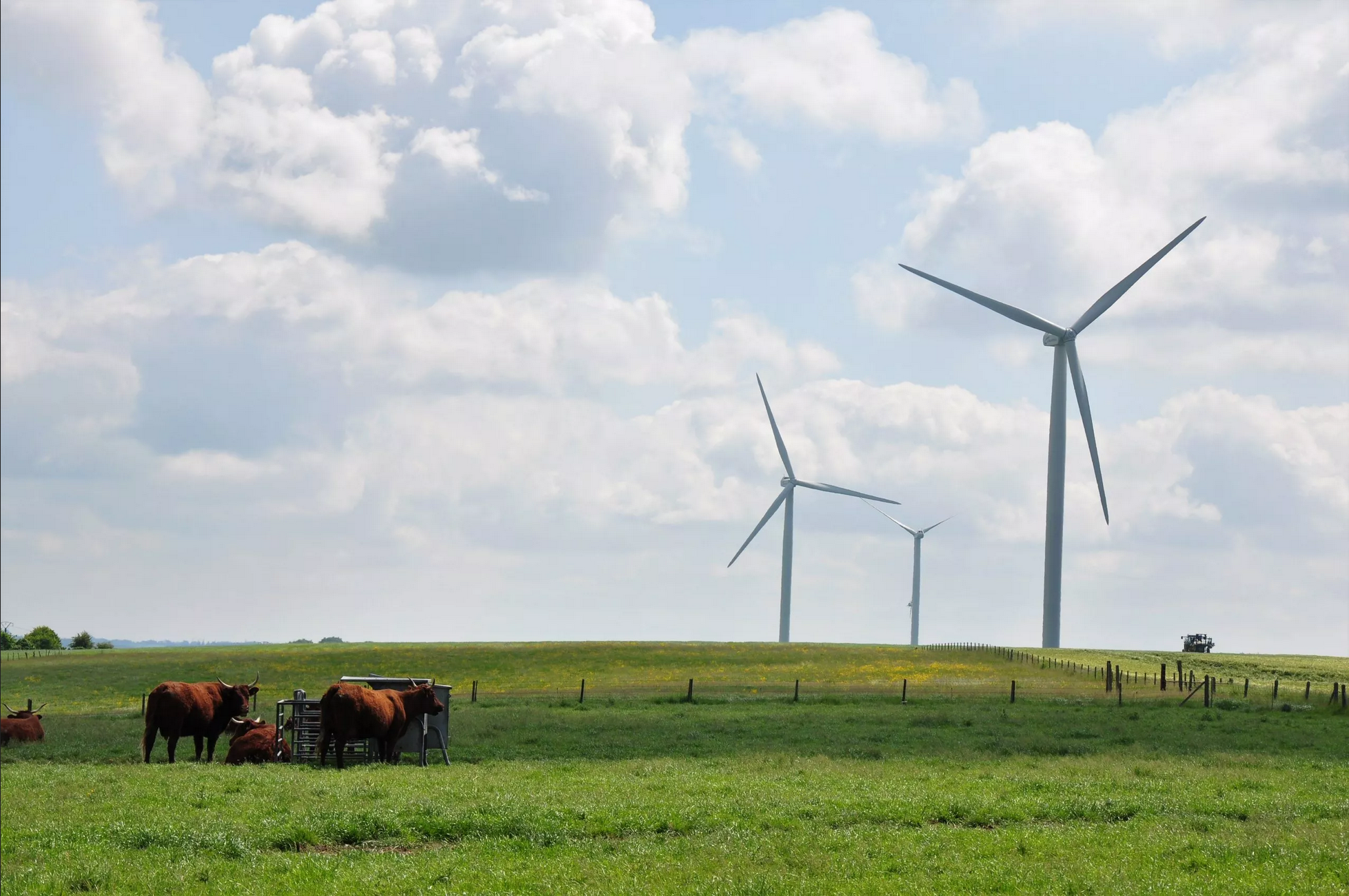 Montpellier - Mint signe son premier contrat d'achat d'électricité verte avec Kallista Energy