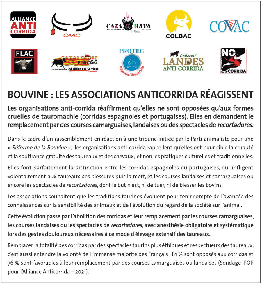 Occitanie - Bouvine : Les associations Anti-Corrida réagissent