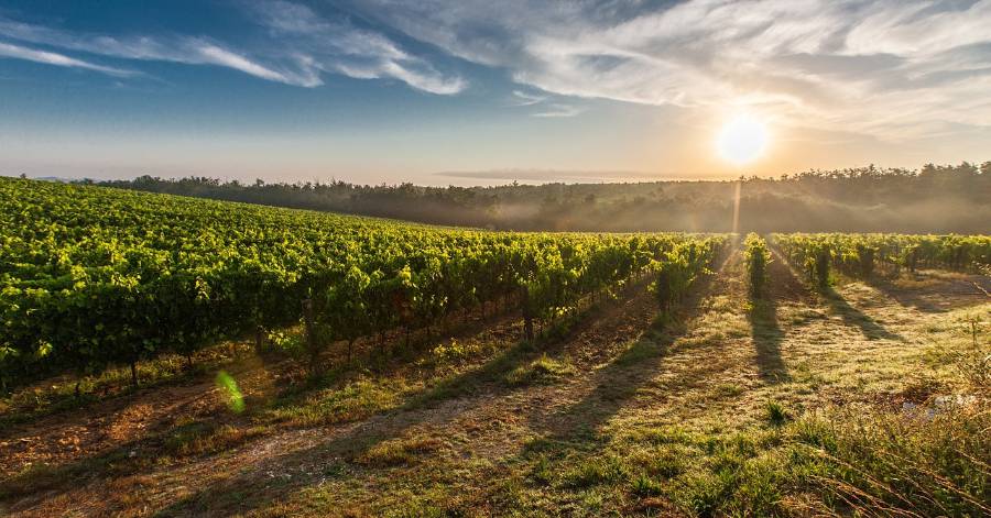 Occitanie - Au Salon de l'Agriculture, Occitanie Sud de France joue la carte du tourisme de terroir
