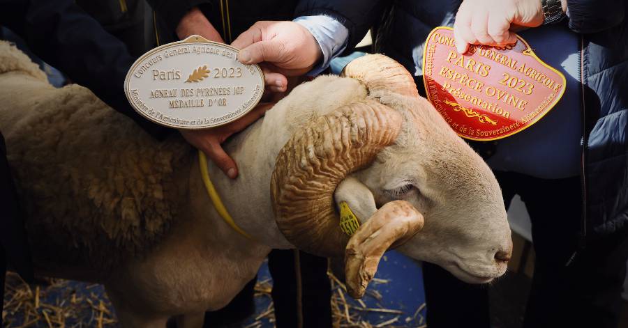 Haute-Garonne - La Haute-Garonne médaillée au Salon International de l'Agriculture