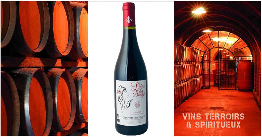 Le Château Saint Louis : un domaine familial alliant héritage et ambition pour une expérience unique autour du vin