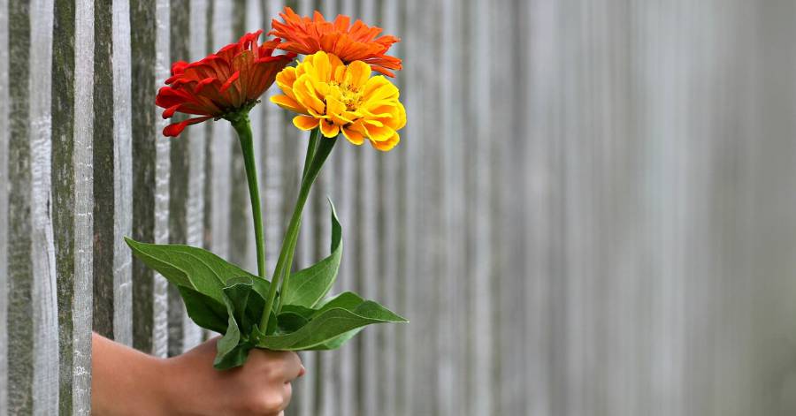 Sète - 3e édition des Floralies les 8-9 avril prochains