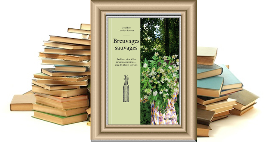 Breuvages Sauvages - Pétillants, vins, kéfirs, smoothies, infusions... avec des plantes sauvages - Géraldine Lemaître Renault