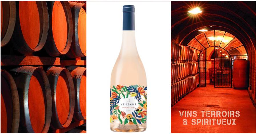 Le Versant 2022 rosé : une ode à la biodiversité des Vignobles Foncalieu, en Édition Limitée