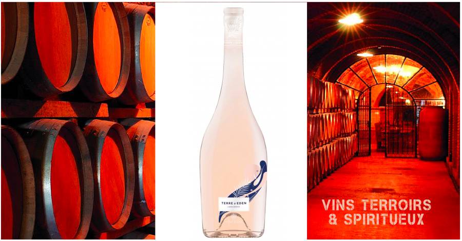 Les Vignobles Foncalieu - Terre d'Eden Rosé AOP Languedoc