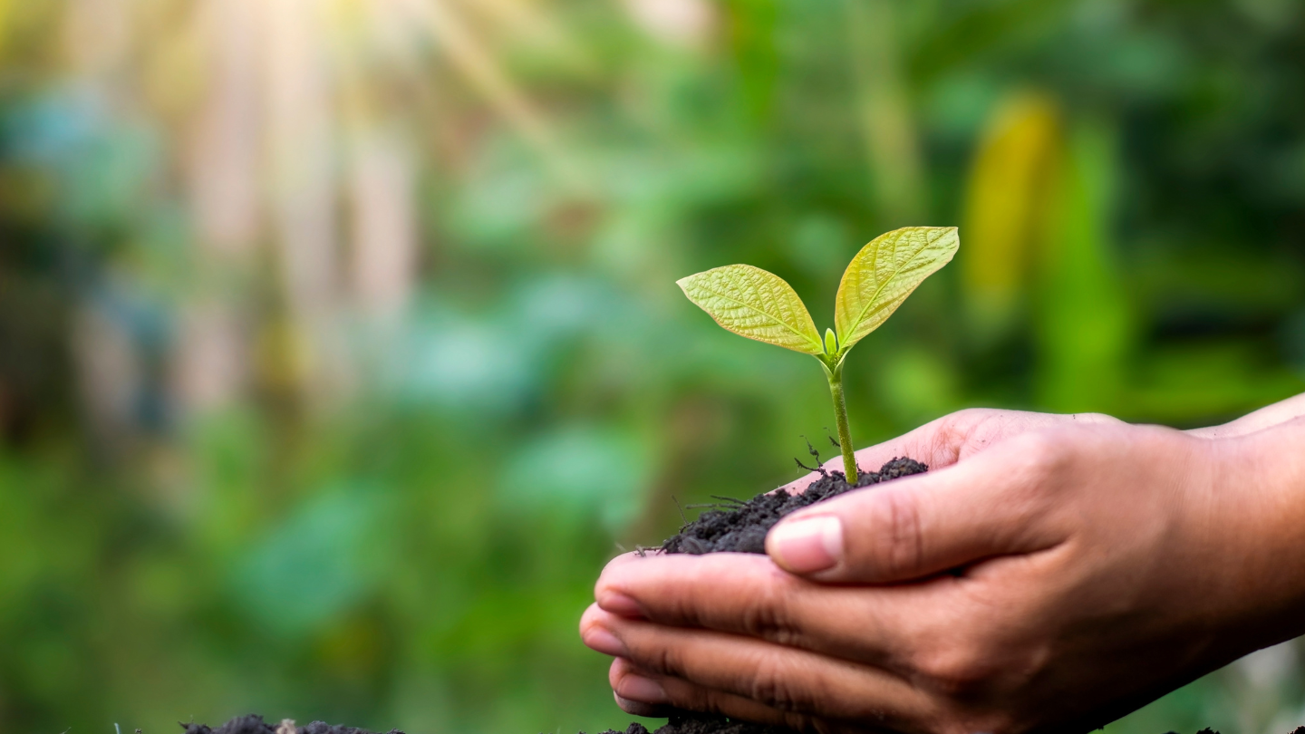 Toulouse - Harmonie Mutuelle continue de s'engager pour une santé globale en faveur de la transition écologique