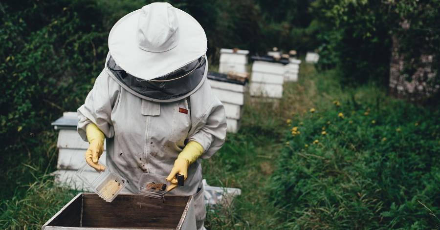 Hérault - Sécheresse 2022 : mise en oeuvre d'une procédure d'indemnisation pour le miel