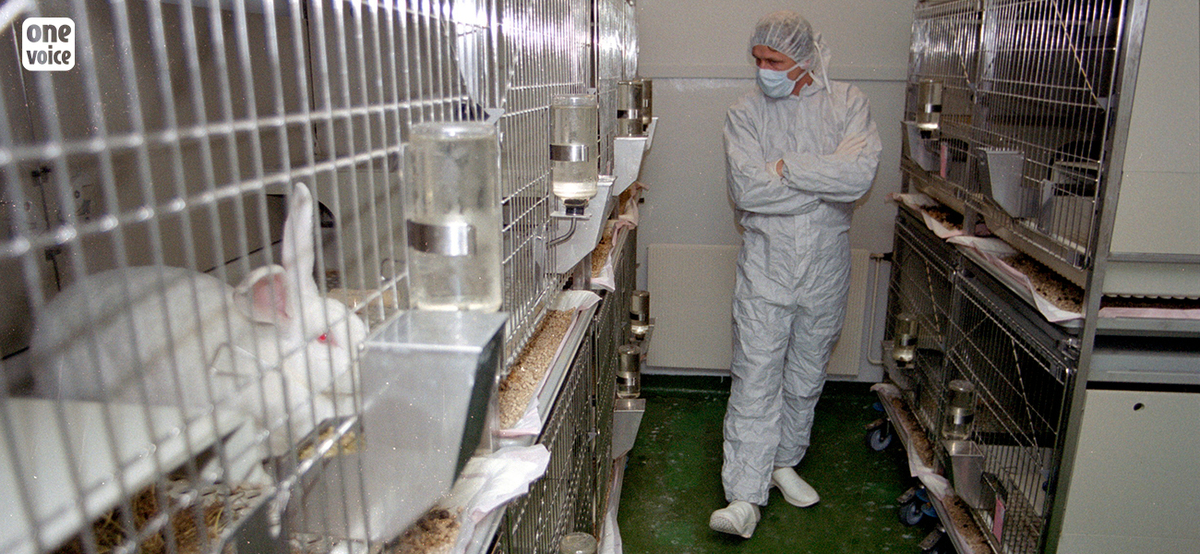  - Les Français en grande majorité défavorables à l'expérimentation animale