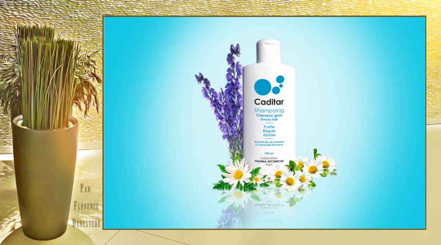 Caditar - Shampoing Cheveux Gras - Purifie, régule, Apaise