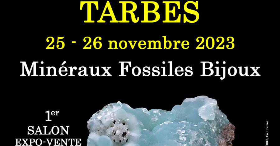Tarbes - 1er SALON MINERAUX FOSSILES BIJOUX