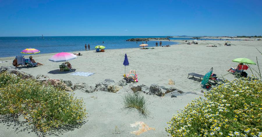 Sète - Les plages de Sète obtiennent leur 30e Pavillon bleu