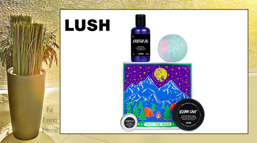 Lush gâte tous les papas avec le coffret Into The Wild - Fraîcheur douche-bain-corps