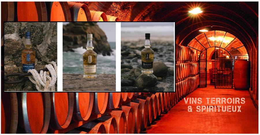 Celtic Whisky Distillerie - Immersion au coeur de la plus confidentielle distillerie bretonne