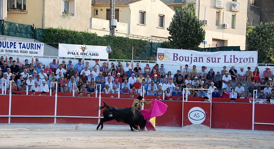 Hérault - BOUJAN - TOROS Y CAMPO - ACTE 7