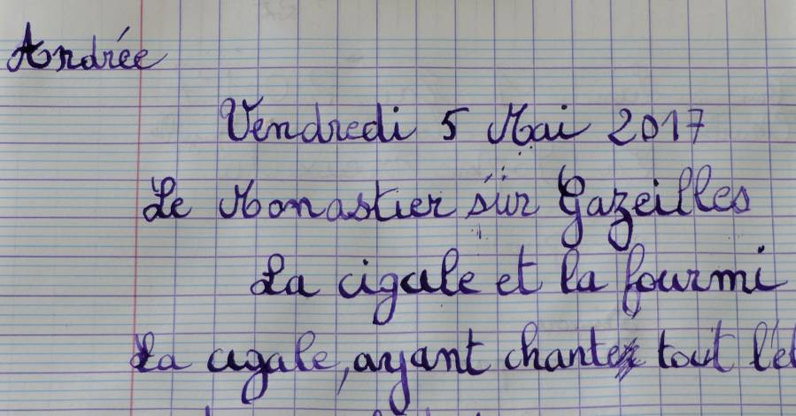 France - LES FRANÇAIS SONT-ILS FÂCHÉS AVEC L'ORTHOGRAPHE ?