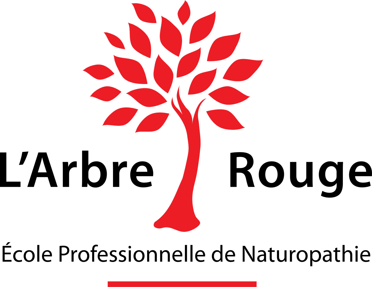 Occitanie - Journée de la malbouffe l'Arbre Rouge école de naturopathie décrypte la malbouffe