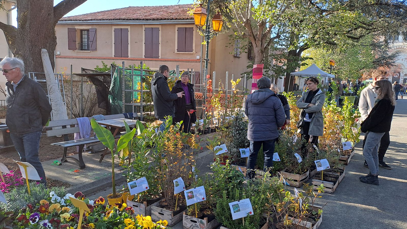 Colomiers - Festi Jardin Nature et Plantes