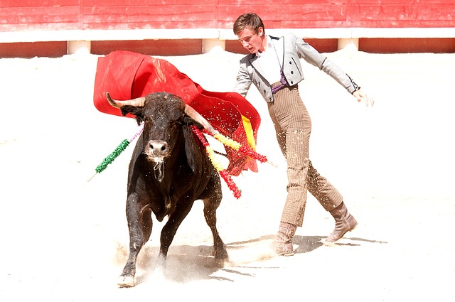 Béziers - Un spot pro-corrida de la mairie de Béziers qui pose question...