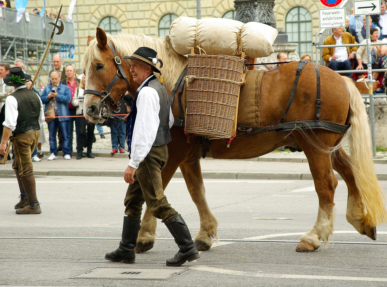 Limoux - Fête paysanne à Limoux