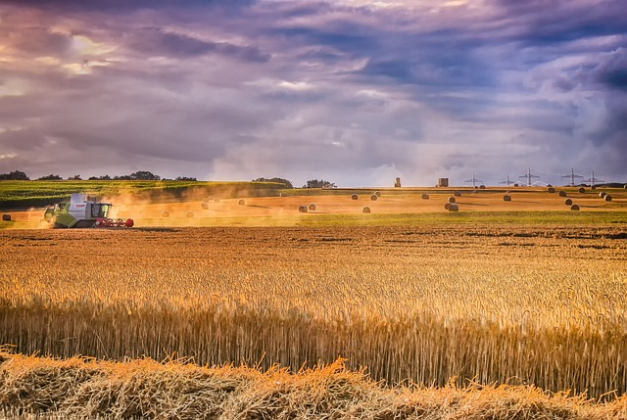 Hérault - Ouverture d'un dispositif d'indemnisation des exploitations agricoles biologiques