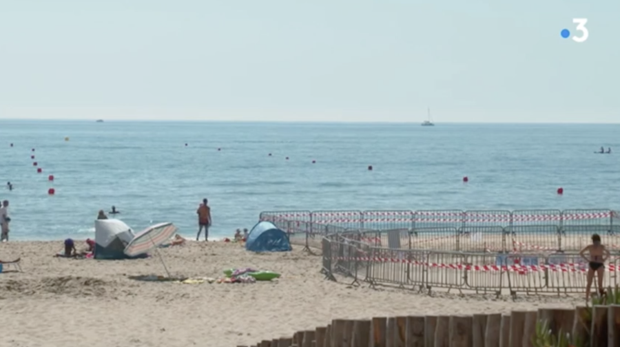 Marseillan Plage - VIDEO. La bêtise humaine, on n'arrête pas ça , ! sur FRANCE 3 Occitanie