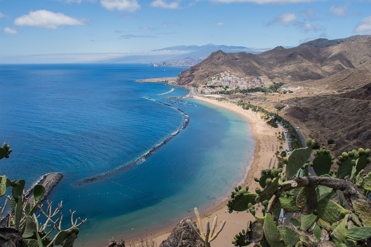  - Incendie en cours à Tenerife :  Déclaration de l'office de tourisme de l'île 
