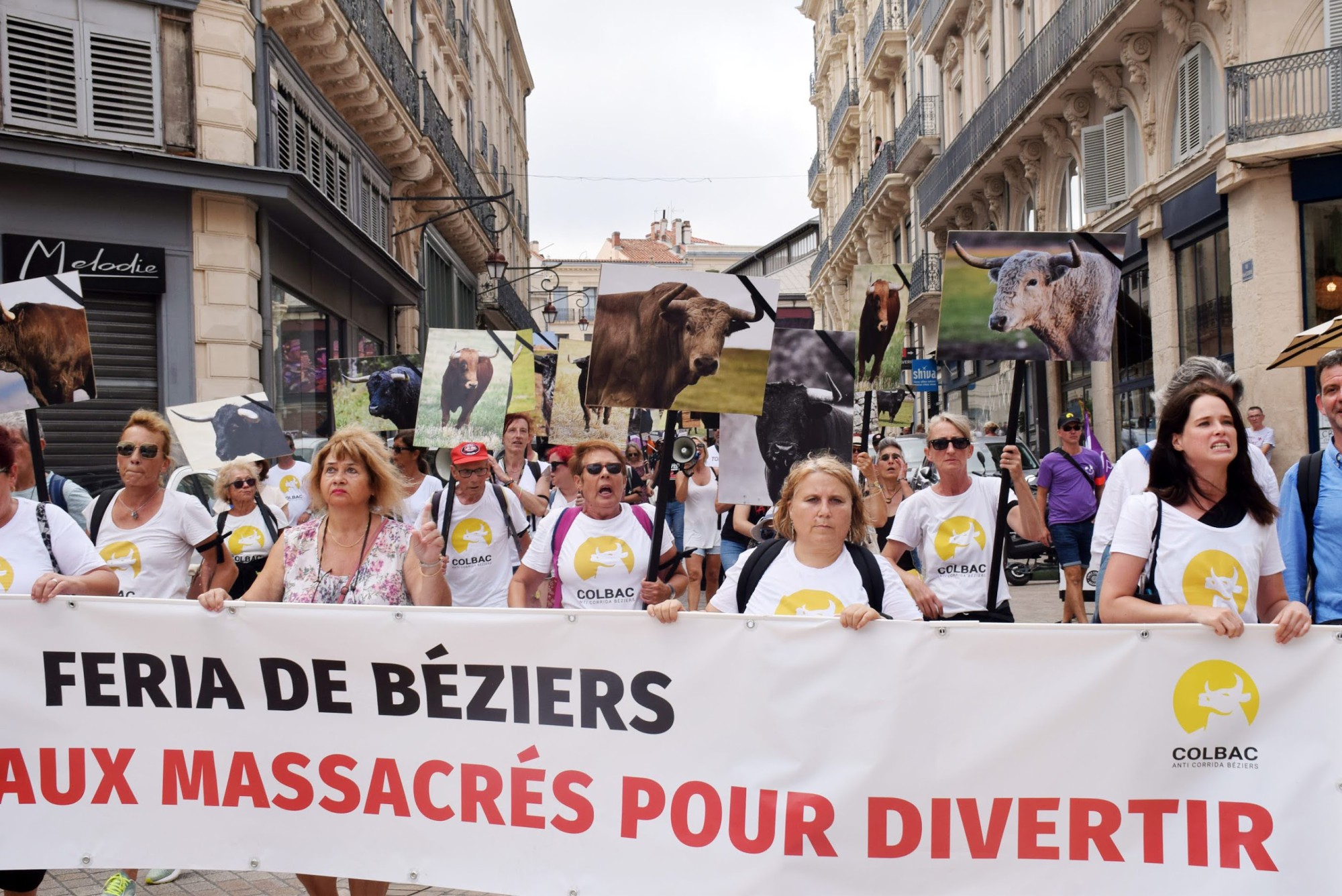 Béziers - Béziers : Manifestation anticorrida pendant la feria