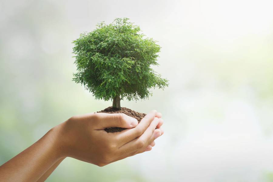 - Numérique Responsable : 9ème édition de The Green IT Day