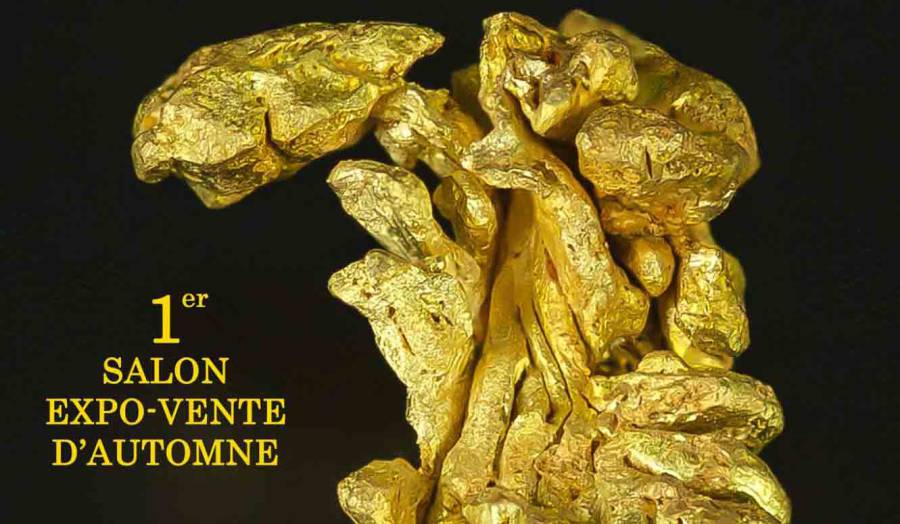 Rodez - 1er SALON MINERAUX FOSSILES BIJOUX d'automne de OLEMPS (Aveyron)