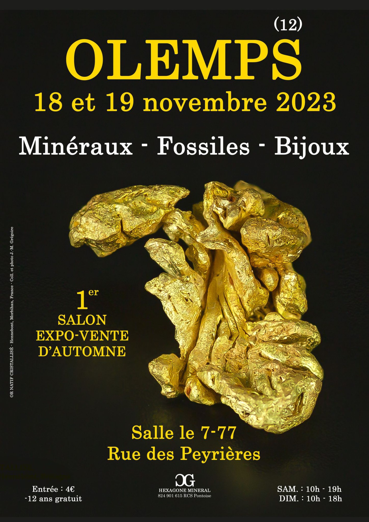 Rodez - 1er SALON MINERAUX FOSSILES BIJOUX d'automne de OLEMPS (Aveyron)