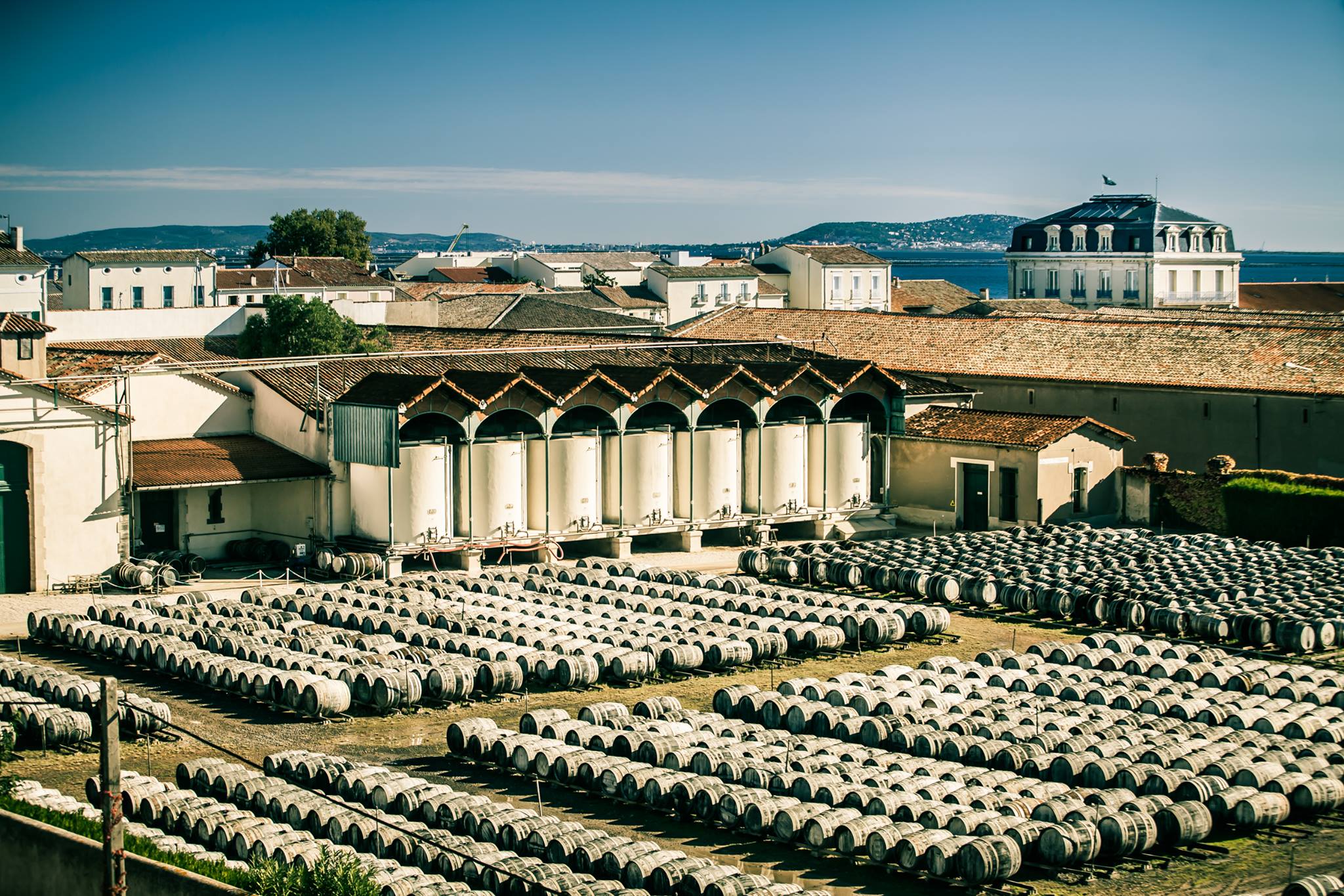 MARSEILLAN - Journées du Patrimoine : La programmation de la MAISON NOILLY PRAT