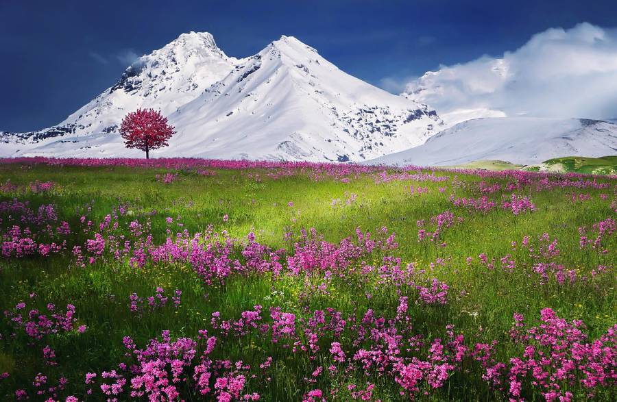 France - Une nouvelle étude souligne le rôle vital de la Convention du patrimoine mondial pour la protection de la biodiversité
