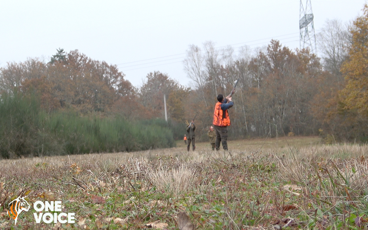 France - Des morts, des morts et encore des morts : le bilan dramatique de la chasse en France