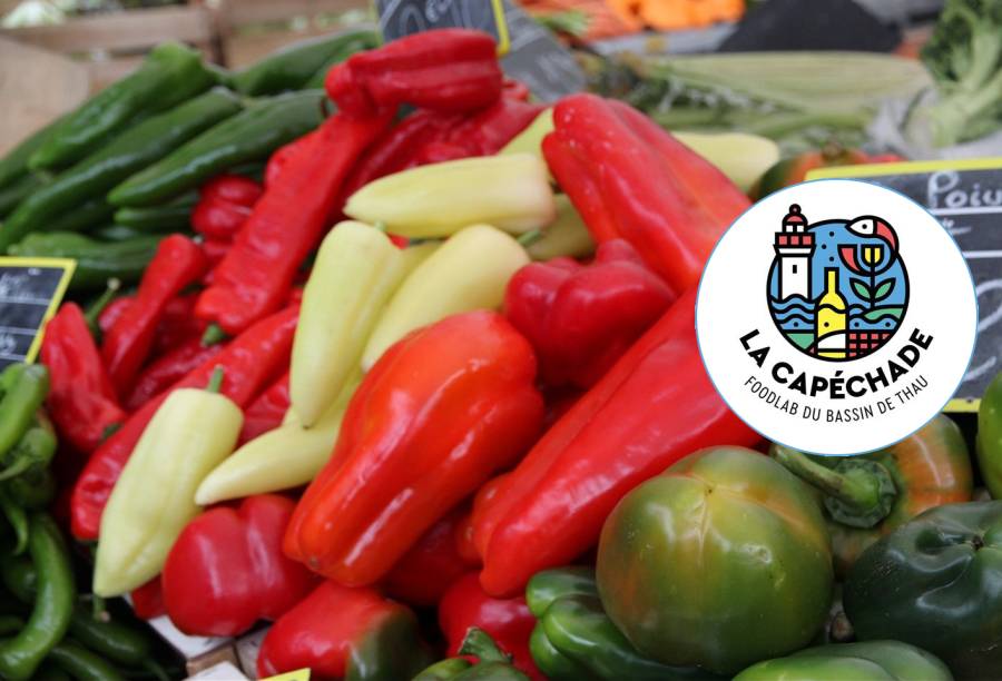 MARSEILLAN - Rencontres gourmandes autour d'un marché de produits locaux vendredi 29 septembre,