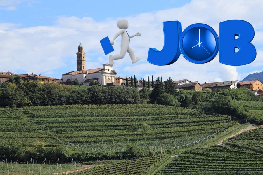 Aigues Mortes - Job Dating Viticulture vendredi 20 octobre à Aigues-Mortes
