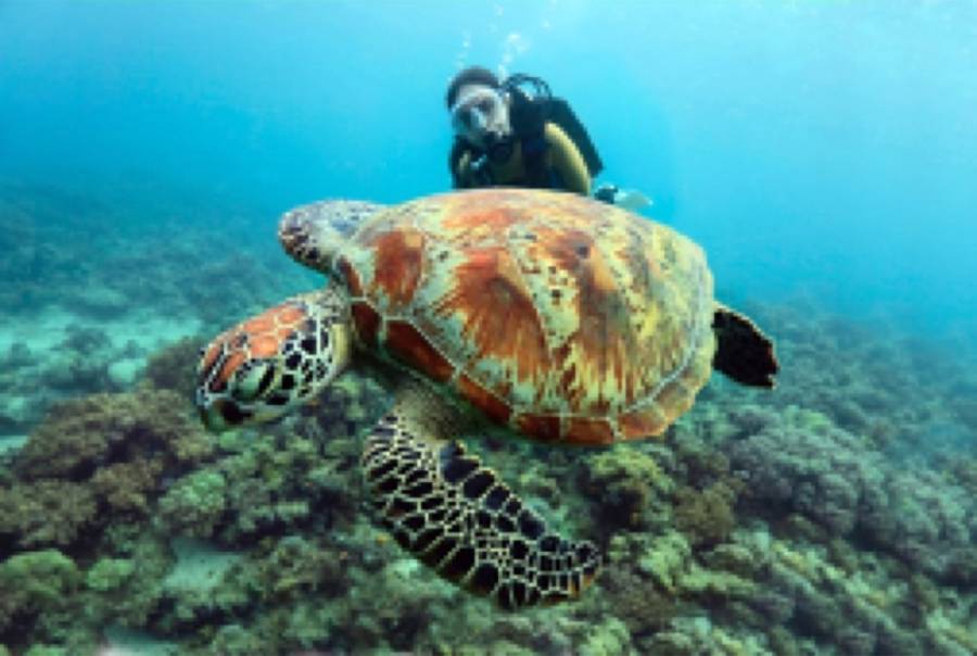 - Tourism Malaysia présent au Salon IFTM-Top Resa du 3 au 5 octobre 2023