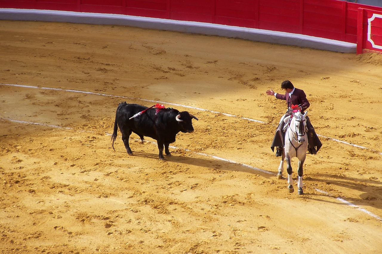 Béziers - La corrida salit davantage Béziers que les crottes de chiens !