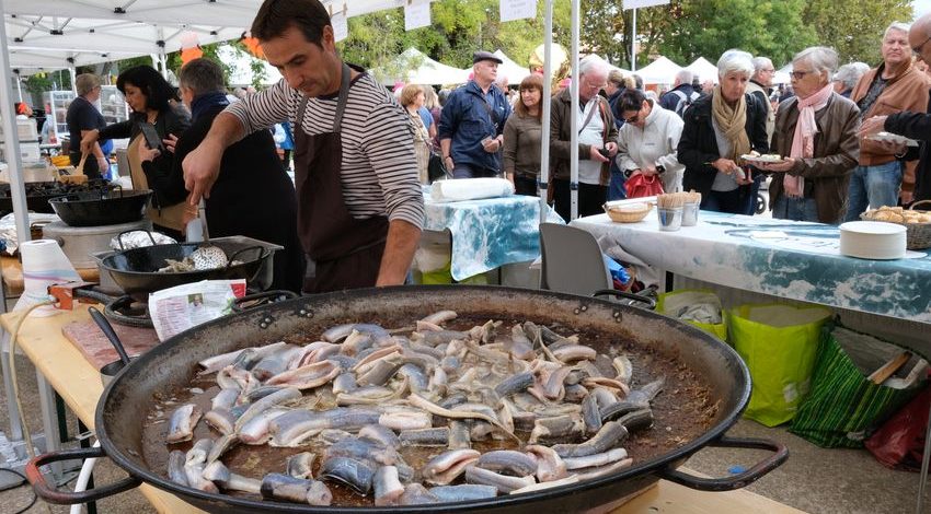 Marseillan - L'anguille sera à la fête le Samedi 21 octobre