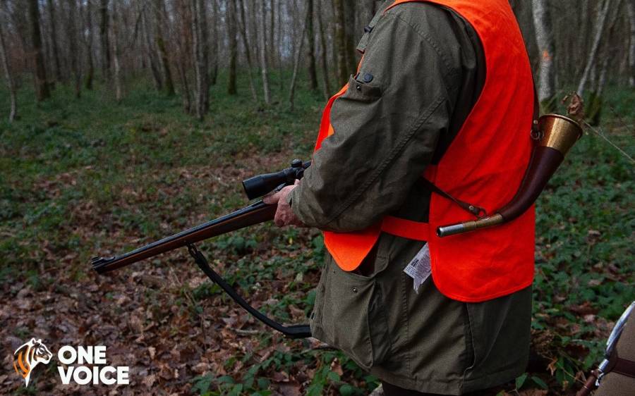 Hérault - Les Français et la chasse : le fossé se creuse selon un sondage Ipsos pour One Voice 2023.