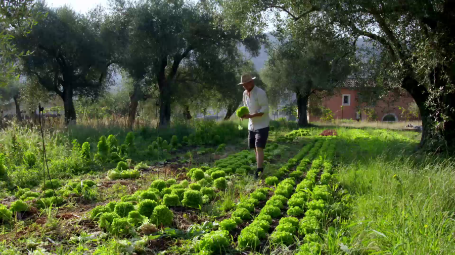 Marseillan - Projection débat proposée par la Capéchade « DU BETON SUR NOS COURGETTES »