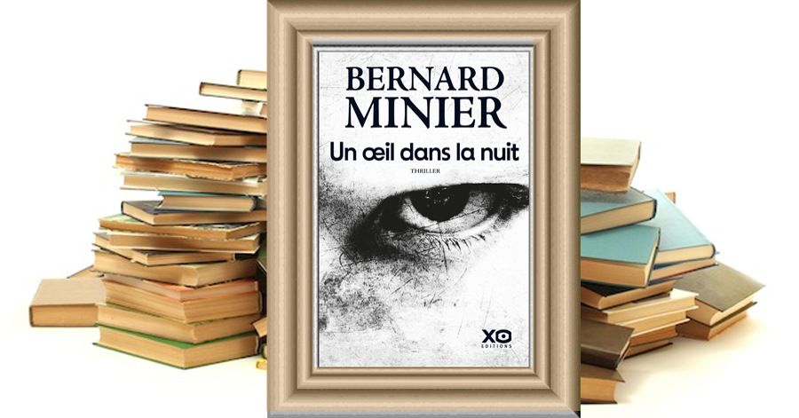 UN ŒIL DANS LA NUIT - Bernard Minier