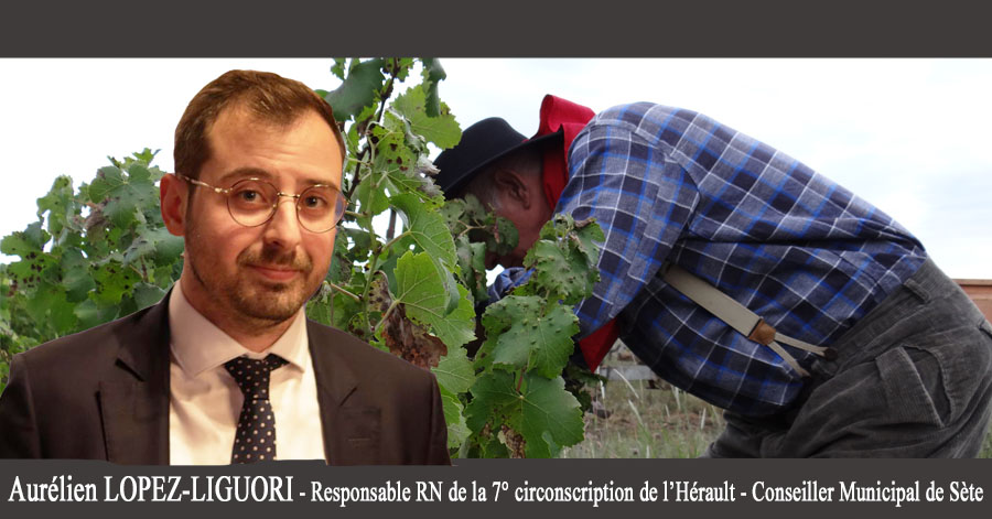Hérault - Aurélien Lopez Liguori à Narbonne ce 25 novembre en soutien aux viticulteurs