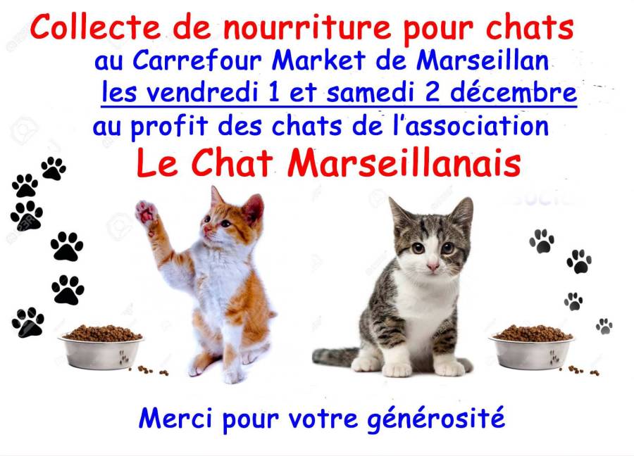 Marseillan - Le Chat Marseillanais organise une collecte